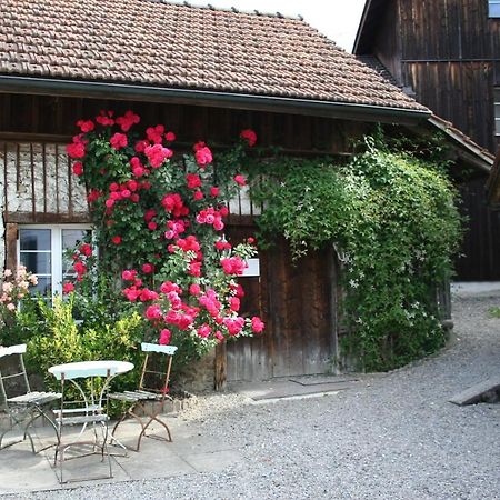 Idyllisches Woeschhuesli Villa Knonau ภายนอก รูปภาพ